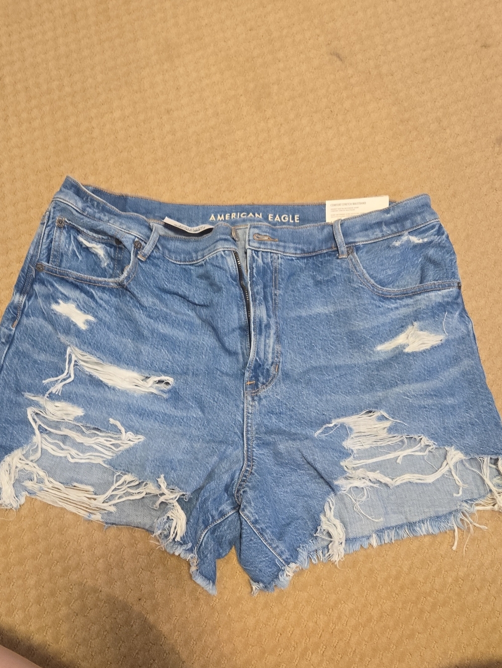 American Eagle Outfitters Light Blue Distressed Denim Shorts